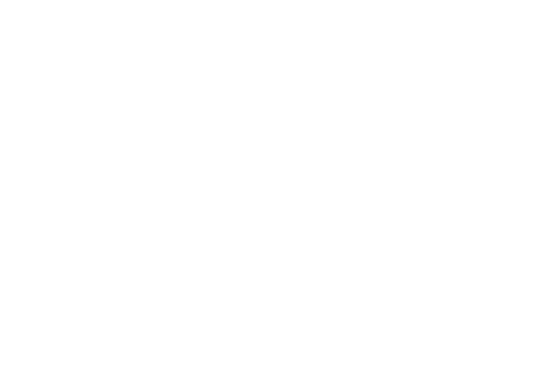 RR Music Festival